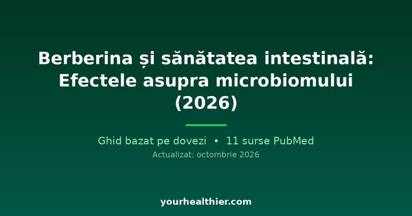 Berberină și sănătatea intestinală: Efectele asupra microbiomului (2026)