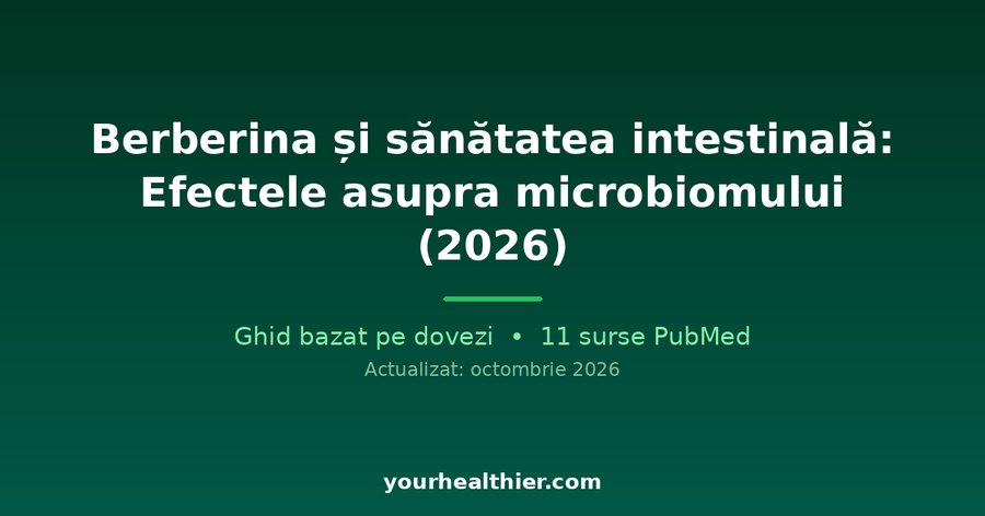 Berberină și sănătatea intestinală: Efectele asupra microbiomului (2026)