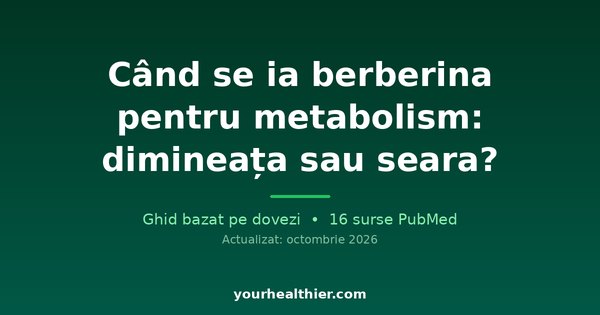 Când se ia berberina pentru metabolism: dimineața sau seara?