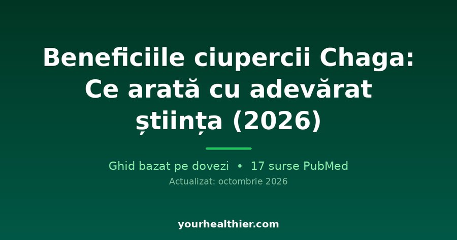Beneficiile ciupercii Chaga: Ce arată cu adevărat știința (2026)