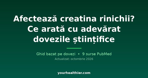 Afectează creatina rinichii? Ce arată cu adevărat dovezile științifice