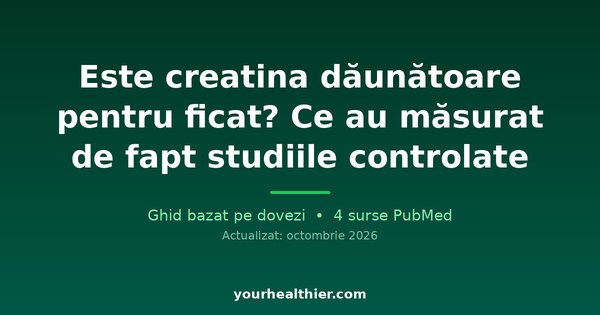 Este creatina dăunătoare pentru ficat? Ce au măsurat de fapt studiile controlate