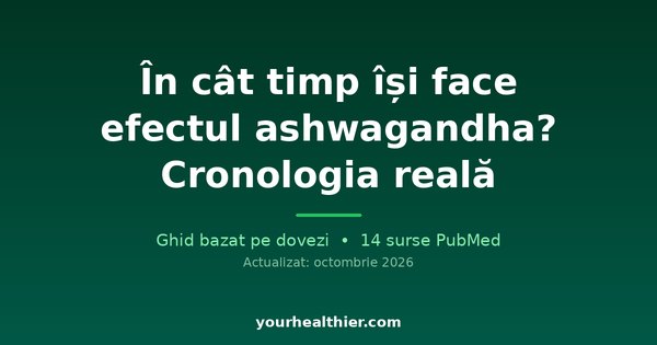 În cât timp își face efectul ashwagandha? Cronologia reală