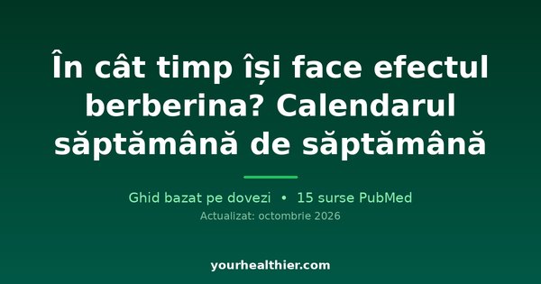 În cât timp își face efectul berberina? Calendarul săptămână de săptămână