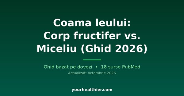 Coama leului: Corp fructifer vs. Miceliu (Ghid 2026)