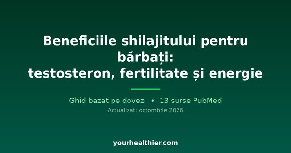 Beneficiile shilajitului pentru bărbați: testosteron, fertilitate și energie