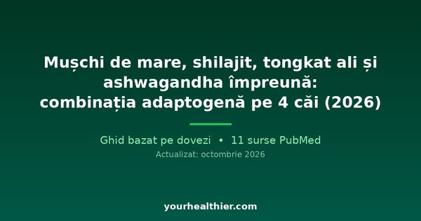 Mușchi de mare, shilajit, tongkat ali și ashwagandha împreună: combinația adaptogenă pe 4 căi (2026)