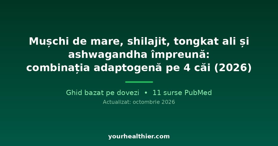 Mușchi de mare, shilajit, tongkat ali și ashwagandha împreună: combinația adaptogenă pe 4 căi (2026)